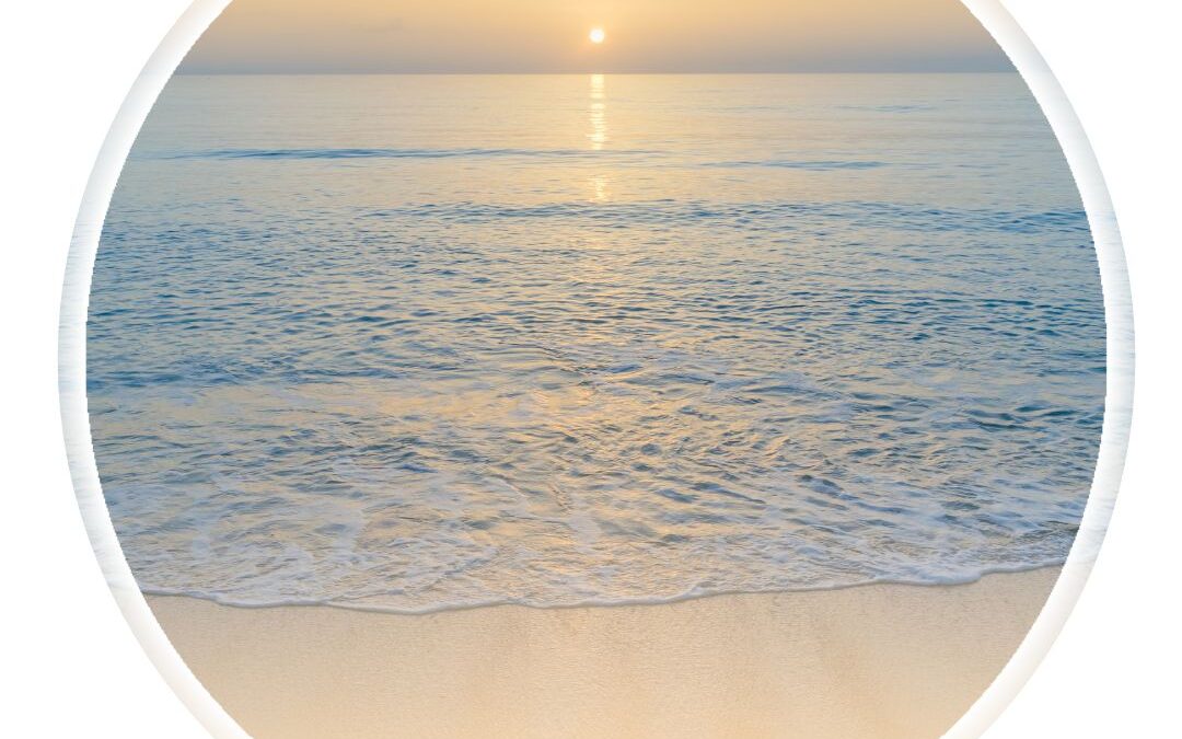 Midlife Reset: Grounded & Glowing