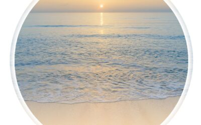 Midlife Reset: Grounded & Glowing